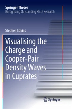 Visualising the Charge and Cooper-Pair Density Waves in Cuprates - Edkins, Stephen