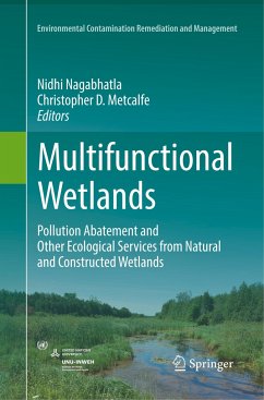 Multifunctional Wetlands