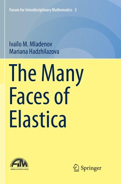The Many Faces of Elastica - Mladenov, Ivaïlo M.;Hadzhilazova, Mariana
