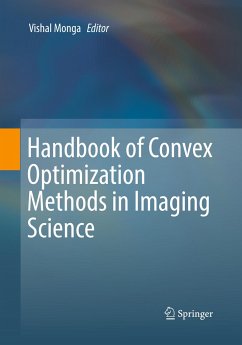 Handbook of Convex Optimization Methods in Imaging Science