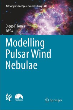 Modelling Pulsar Wind Nebulae