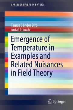 Emergence of Temperature in Examples and Related Nuisances in Field Theory (eBook, PDF) - Biró, Tamás Sándor; Jakovác, Antal