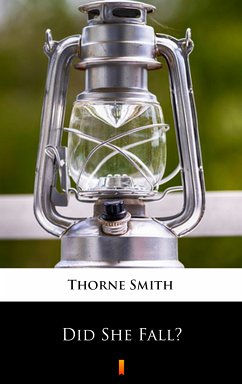 Did She Fall? (eBook, ePUB) - Smith, Thorne