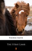 The Stray Lamb (eBook, ePUB)