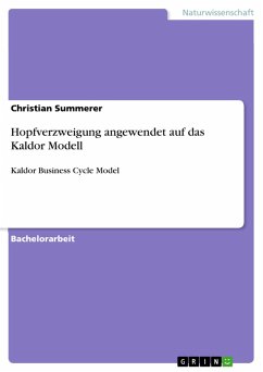 Hopfverzweigung angewendet auf das Kaldor Modell (eBook, PDF) - Summerer, Christian