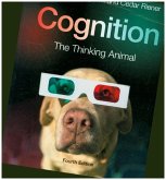 Cognition Cognition