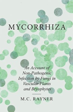 Mycorrhiza - An Account of Non-Pathogenic Infection by Fungi in Vascular Plants and Bryophytes - Rayner, M. C.