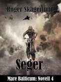 Seger (eBook, ePUB) Seger (eBook, ePUB)