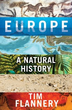 Cover Europe (eBook, ePUB)
