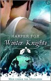 Winter Knights (eBook, ePUB) Winter Knights (eBook, ePUB)