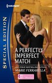 A Perfectly Imperfect Match (eBook, ePUB) A Perfectly Imperfect Match (eBook, ePUB)