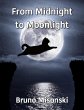 From Midnight to Moonlight (eBook, ePUB) - Bild 1