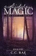 Hidden Magic (eBook, ePUB) - Bild 1
