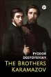 The Brothers Karamazov (eBook, ePUB) - Bild 1