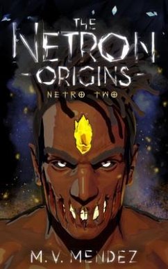 The Netron Origins (eBook, ePUB) - Mendez, Matthew V