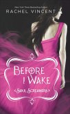 Before I Wake (eBook, ePUB)