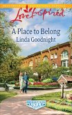 A Place to Belong (eBook, ePUB)