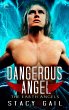 Dangerous Angel (eBook, ePUB) - Bild 1