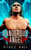 Dangerous Angel (eBook, ePUB)