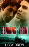 Bending the Iron (eBook, ePUB)