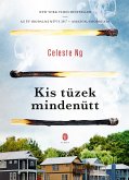 Kis tüzek mindenütt (eBook, ePUB)