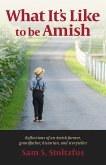 What It's Like to Be Amish (eBook, PDF)