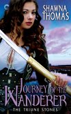 Journey of the Wanderer (eBook, ePUB)