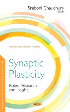 Synaptic Plasticity: Roles, Research and Insights (eBook, PDF)