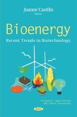 Bioenergy: Prospects, Applications and Future Directions (eBook, PDF) Bioenergy: Prospects, Applications and Future Directions (eBook, PDF)