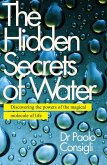 The Hidden Secrets of Water (eBook, ePUB)