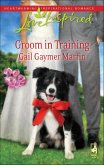 Groom in Training (eBook, ePUB)