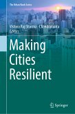 Making Cities Resilient (eBook, PDF)