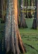 Swamp (eBook, ePUB) - Bild 1