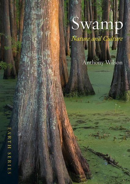 Swamp (eBook, ePUB)