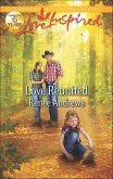 Love Reunited (eBook, ePUB)