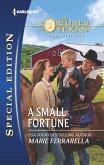 A Small Fortune (eBook, ePUB)