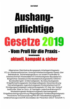 Aushangpflichtige Gesetze 2019 Gesamtausgabe (eBook, ePUB) - Scholl, Jost