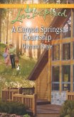 A Canyon Springs Courtship (eBook, ePUB)