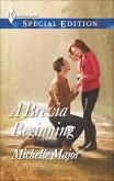 A Brevia Beginning (eBook, ePUB)