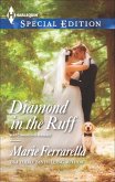 Diamond in the Ruff (eBook, ePUB)