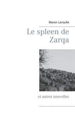 Le spleen de Zarqa (eBook, ePUB) - Larraufie, Manon