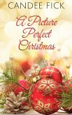 A Picture Perfect Christmas (The Wardrobe, #4) (eBook, ePUB)