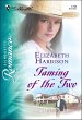 Taming of the Two (eBook, ePUB) - Bild 1