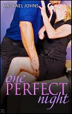 One Perfect Night (eBook, ePUB)