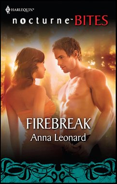 Cover Firebreak (eBook, ePUB)