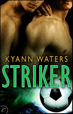 Cover Striker (eBook, ePUB)