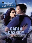 Safety in Numbers (eBook, ePUB) Safety in Numbers (eBook, ePUB)