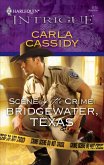 Scene of the Crime: Bridgewater, Texas (eBook, ePUB) Scene of the Crime: Bridgewater, Texas (eBook, ePUB)