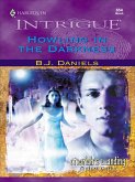 Howling in the Darkness (eBook, ePUB)