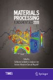 Materials Processing Fundamentals 2019 (eBook, PDF)